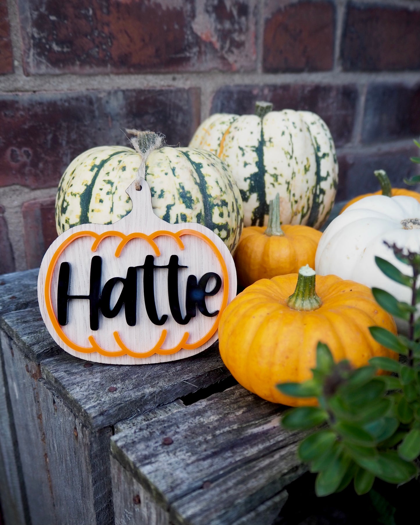 wooden pumpkin shape with orange acrylic outline and black name in the middle