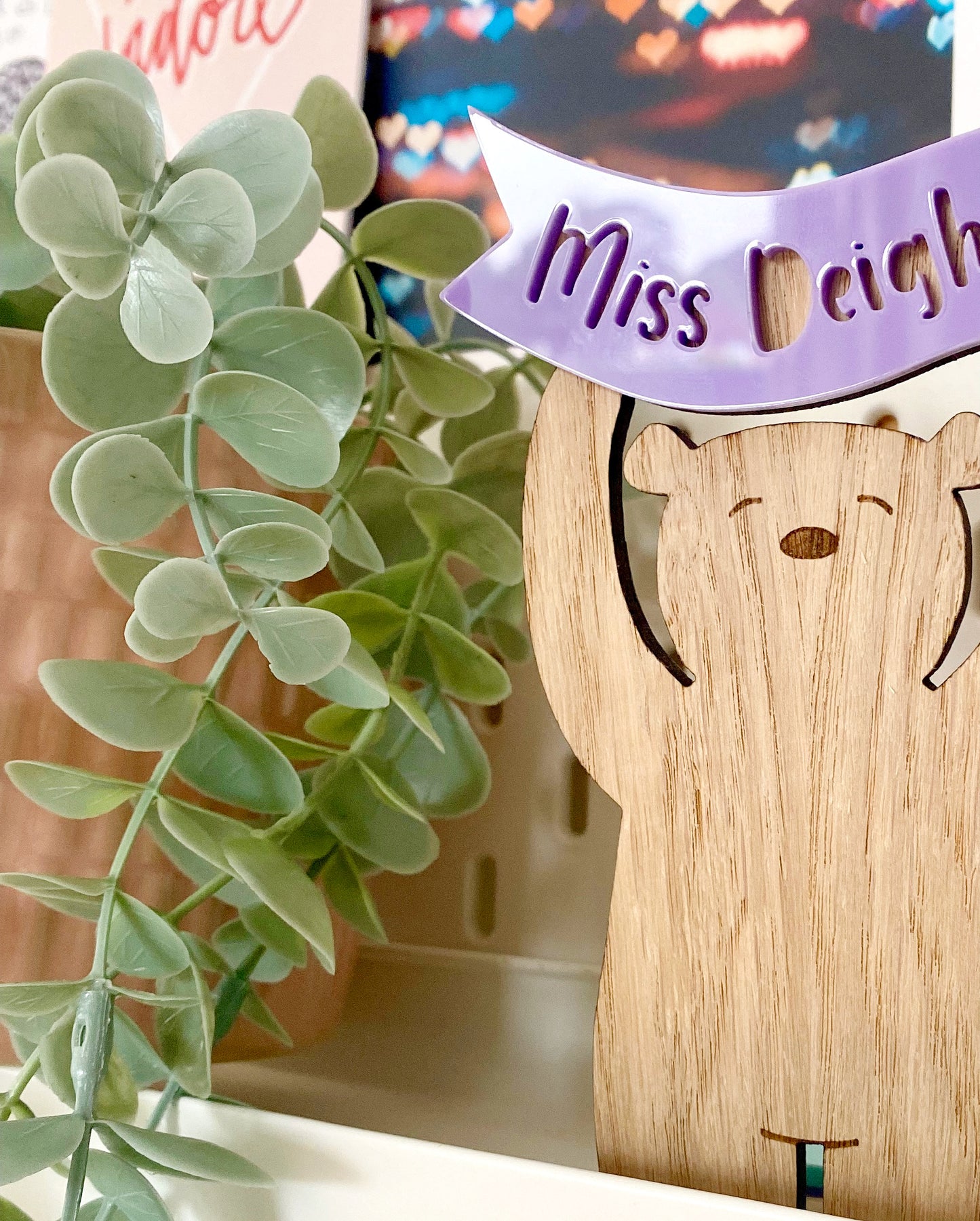 Personalised Teacher Bear