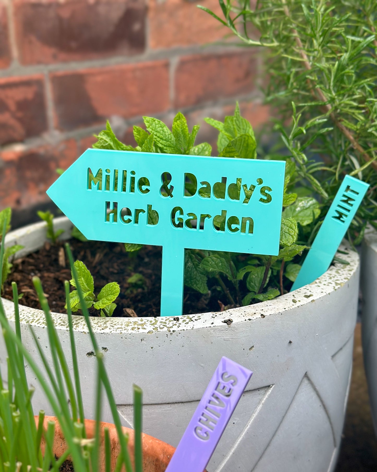 Herb Plant Labels - Pastel Set