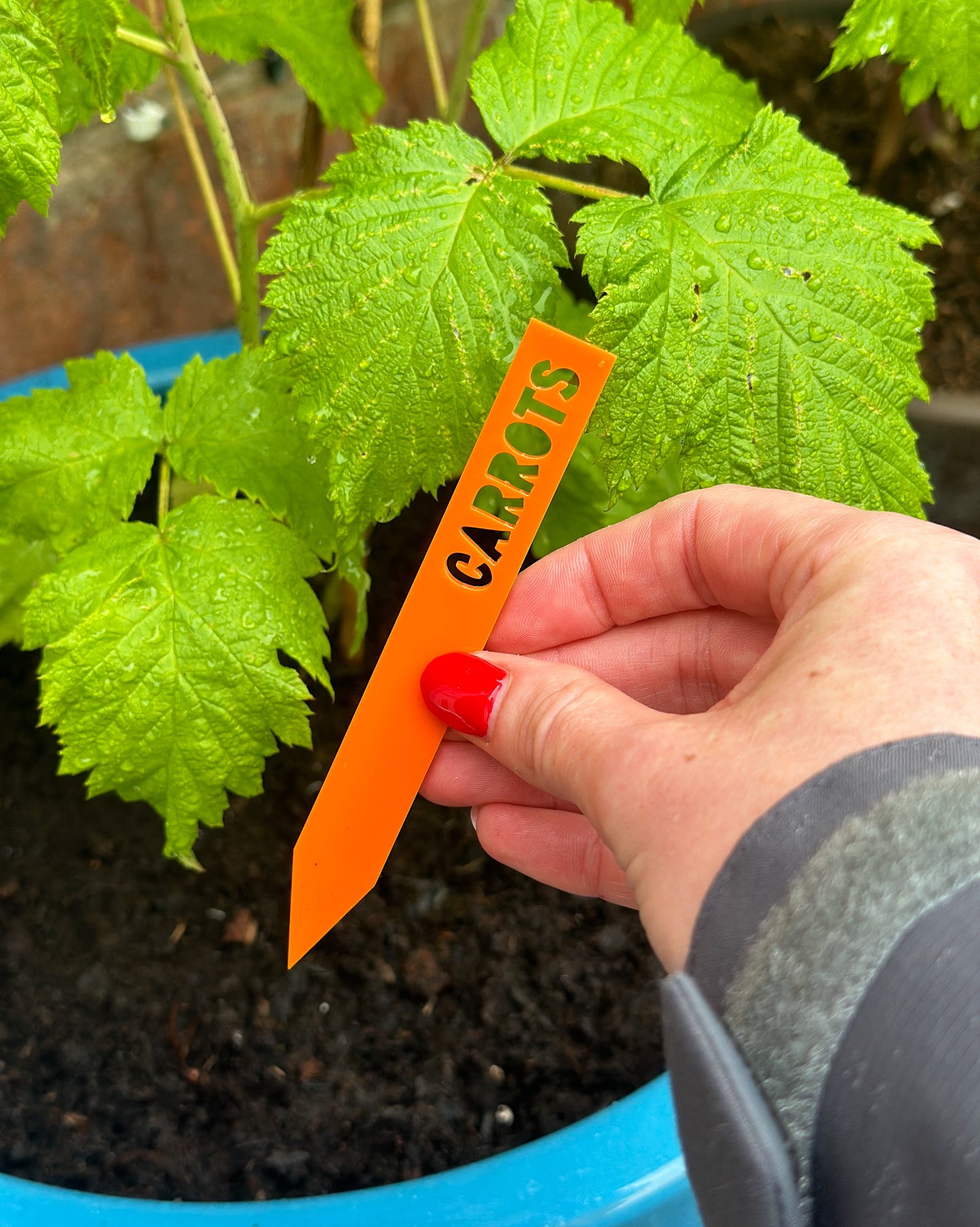 Personalised Plant Labels