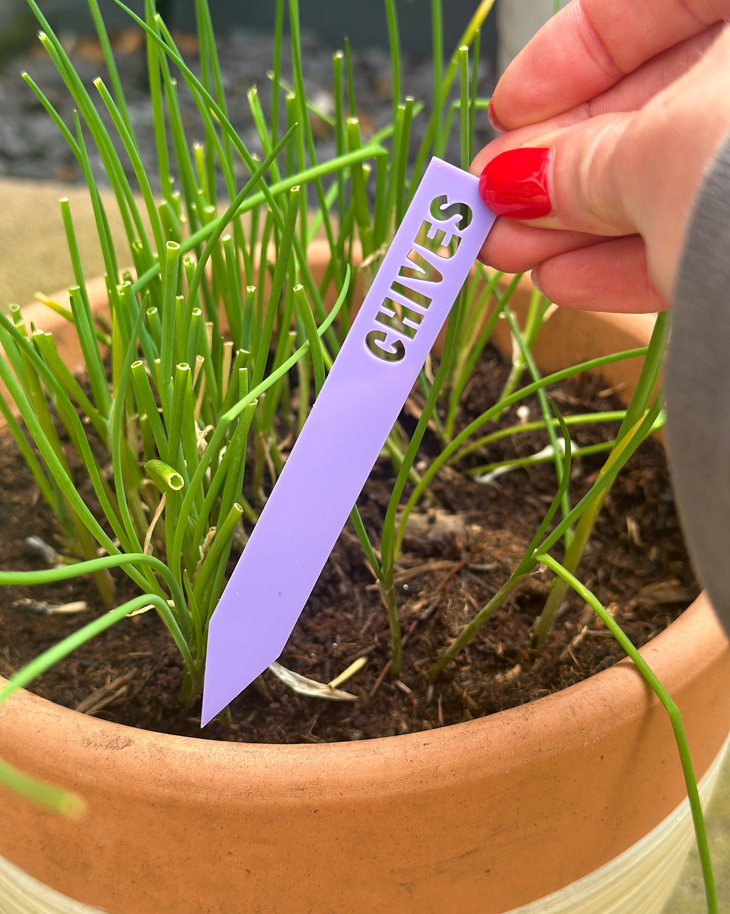 Herb Plant Labels - Pastel Set