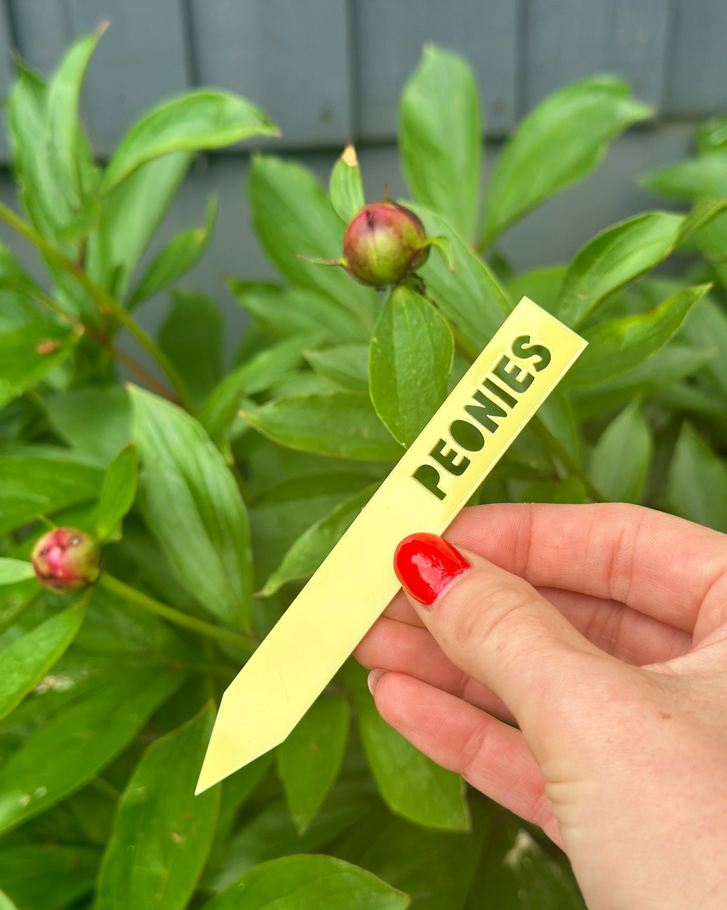 Personalised Plant Labels